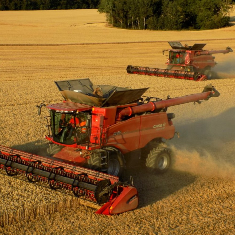 Two Case IH 8250 Combines harvesting grain from the field. There are trees in the background 